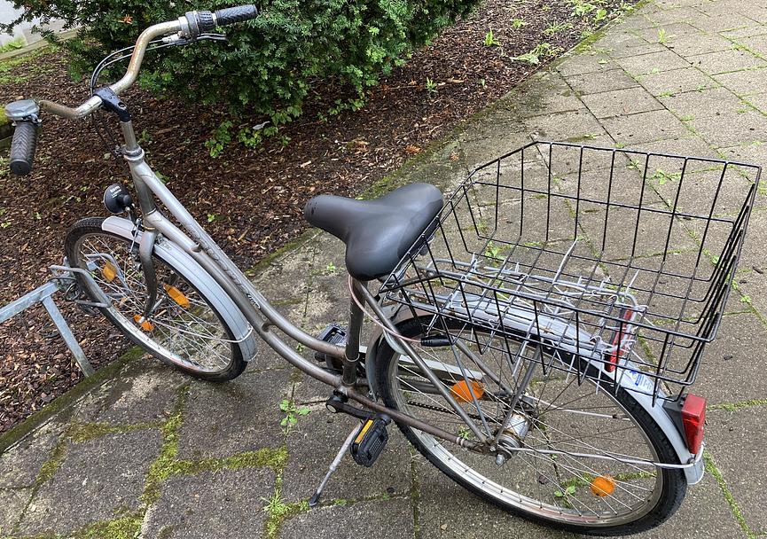 Bild 4 Stadtfahrrad Bavaria Line Lizzard für Damen, Nabenschaltung, Beleuchtung, Korb