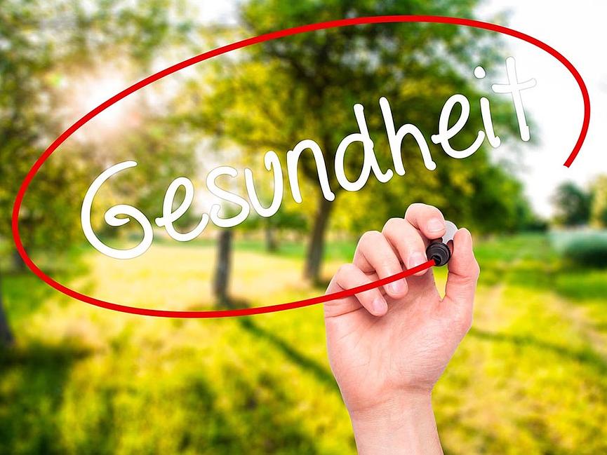 Bild 2 Gesundheitsseminars " ‘‘Gesund, glücklich und ohne Brille‘‘ in Luzern