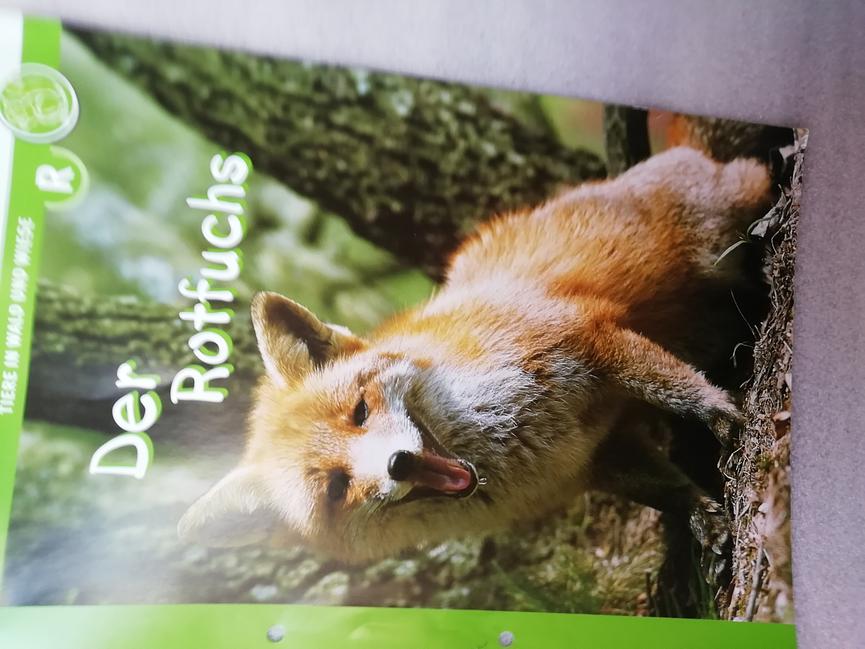 Bild 7 1...6 aktuell LEHRERschulerMATERIAL