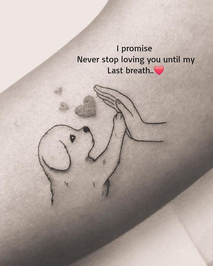 Bild 5 Sprüche kostenlos