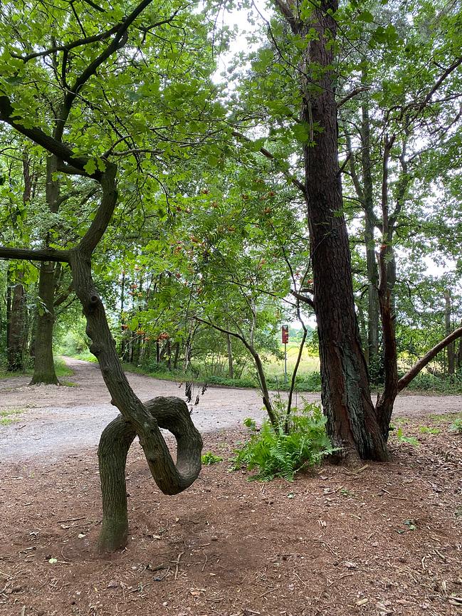 Bild 43 WER ERHOLUNG IN DER NATUR SUCHT, IST HIER GENAU RICHTIG