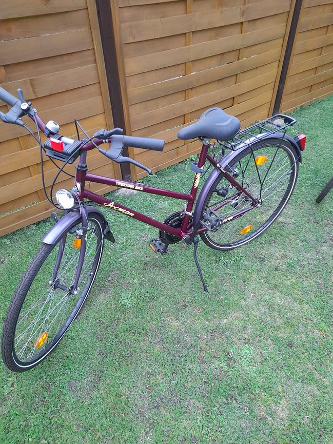 Bild 2 DAMENRAD