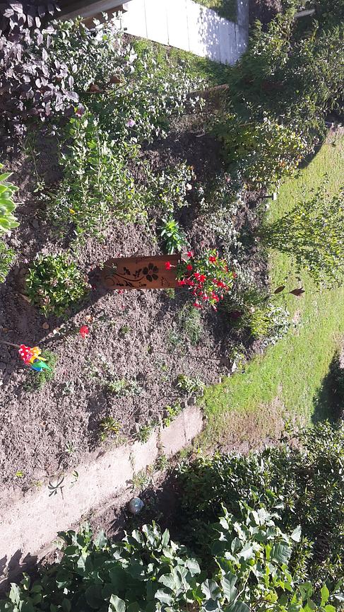 Bild 4 Suche nette/netten Mitbewohner