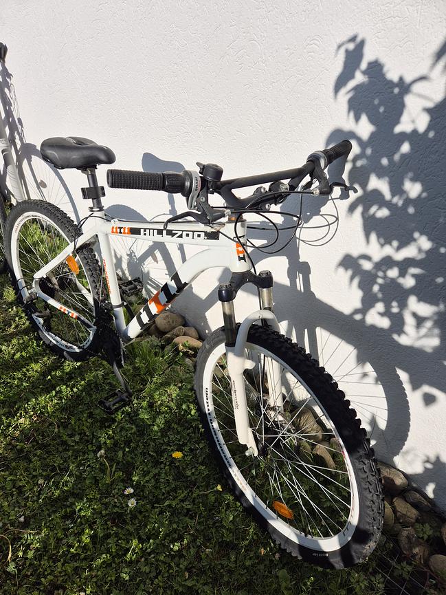 Bild 7 Stabiles Mountainbike – ideal für Wald- und Geländefahrten