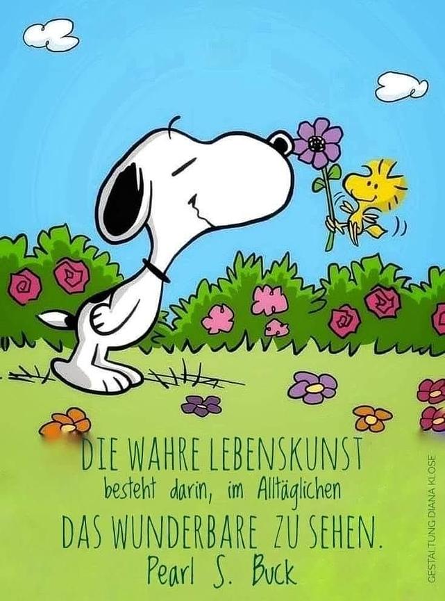 Bild 5 Grosser Bücher VERKAUF