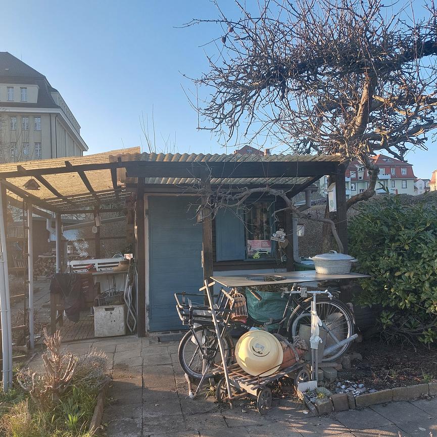 Bild 6 Garten in Striesen abzugeben