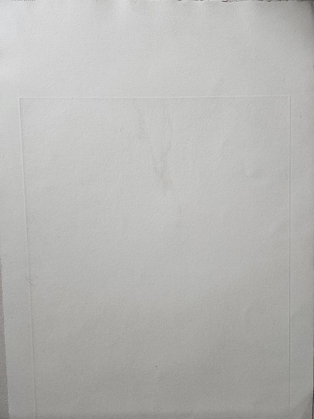 Bild 2 Salvador Dalí – 2 Illustrationen aus "Les Chants de Maldoror" – Edition Manus Pr