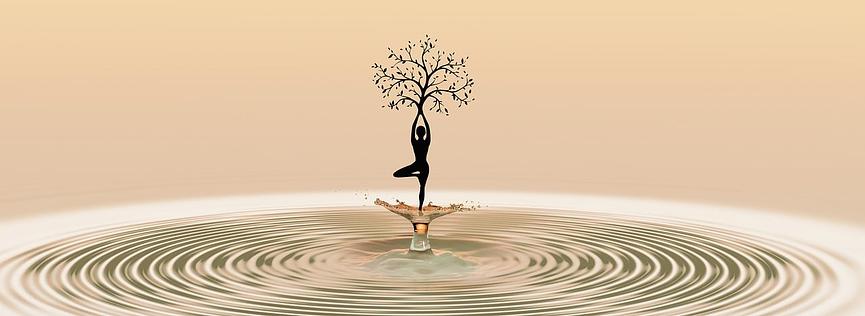 Bild 2 Meditation Essenziell, Bewegung zur Stille