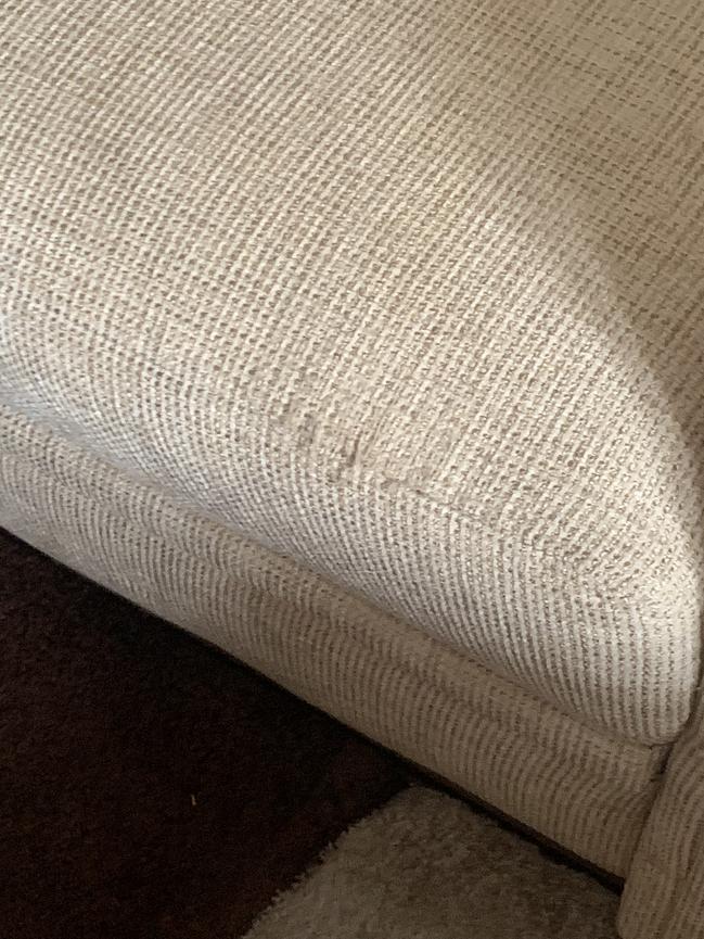 Bild 1 Couch, Sessel und Hocker