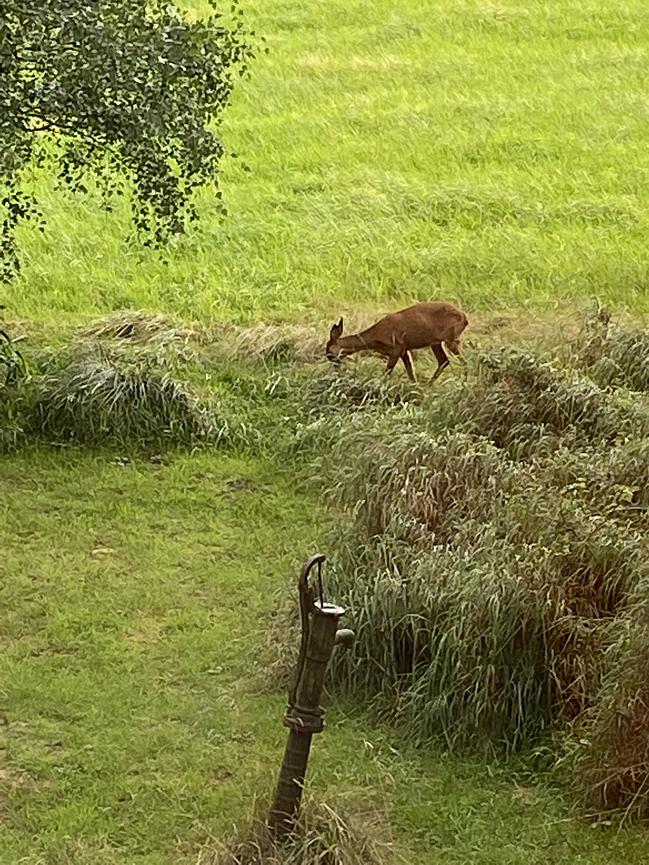 Bild 12 WER ERHOLUNG IN DER NATUR SUCHT, IST HIER GENAU RICHTIG
