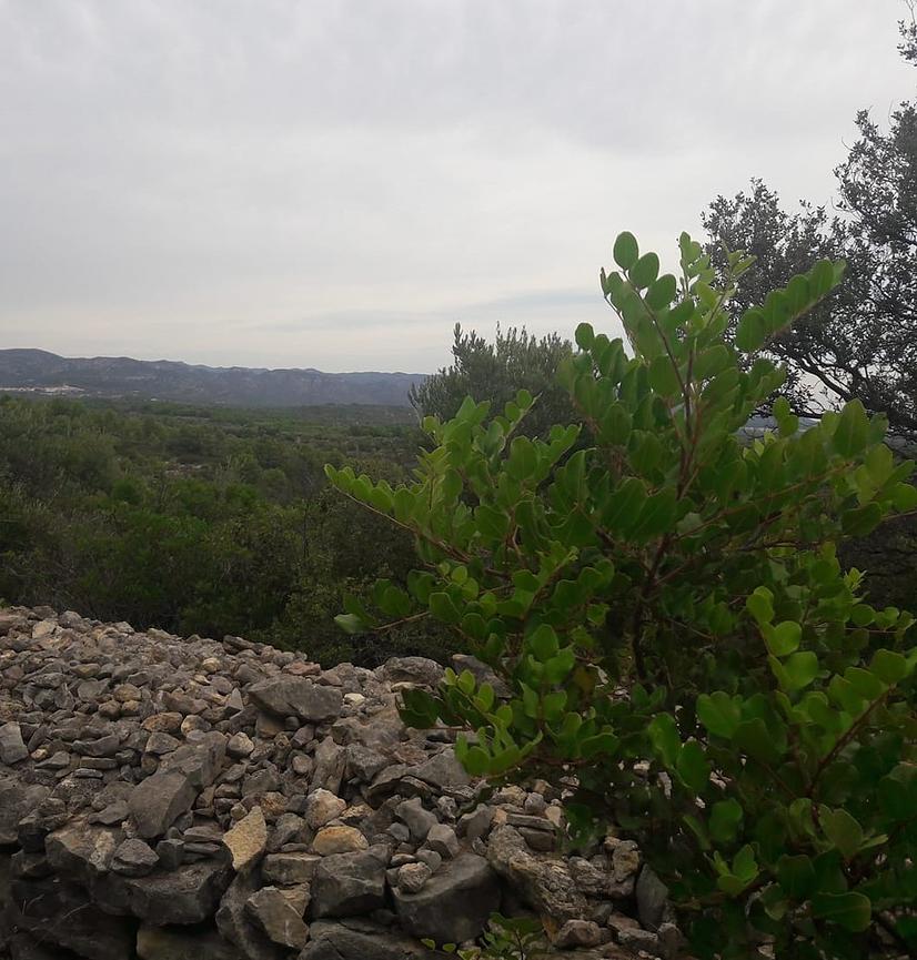 Bild 1 Grundstück zu mieten in der Nähe Mediterranean Meer, Spanien