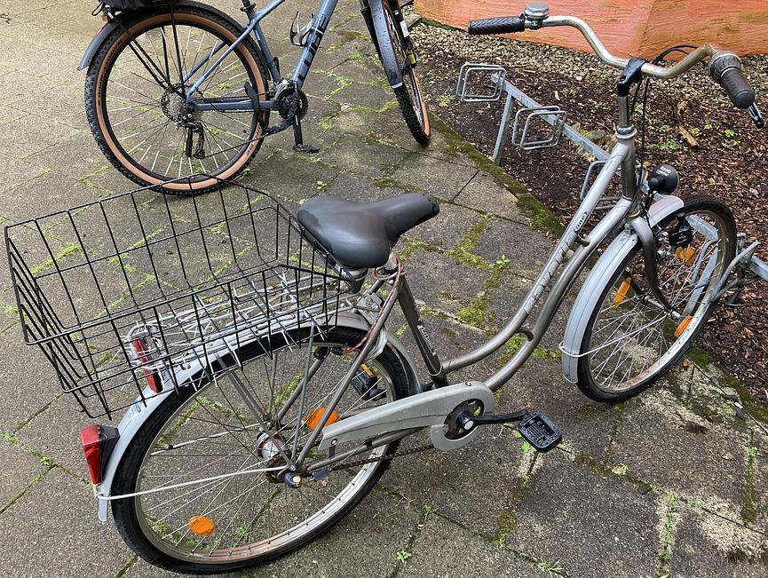 Bild 1 Stadtfahrrad Bavaria Line Lizzard für Damen, Nabenschaltung, Beleuchtung, Korb