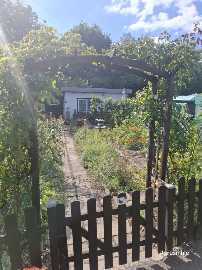 Bild 1 Kleingarten im KgV