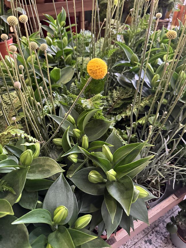 Bild 2 Mitarbeiter (m/w/d) im Blumengeschäft