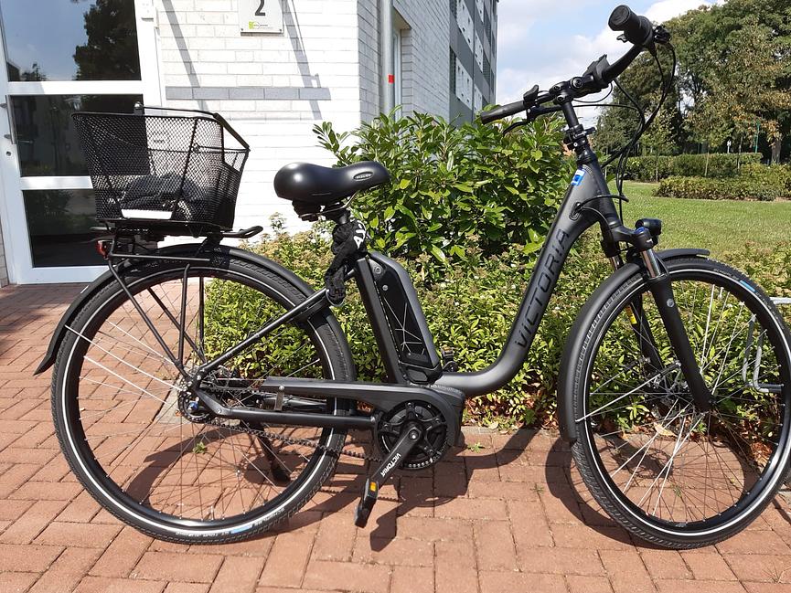 Bild 1 E-Bike Viktoria trekking