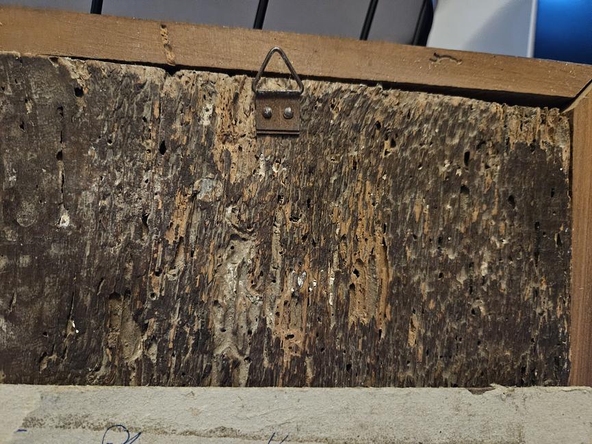 Bild 8 Antikes Porträt im Renaissance-Stil – Internationale Galerie-Provenienz (1931) –