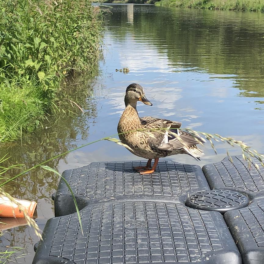 Bild 1 Sommerjob beim Bootsverleih am Leipziger Eck