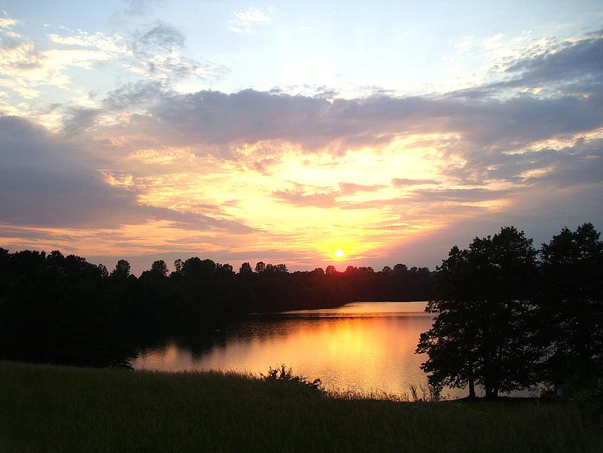 Bild 8 Urlaub Ferienhaus Bungalow Ferienwohnung in Carwitz am See Feldberger Seenplatte