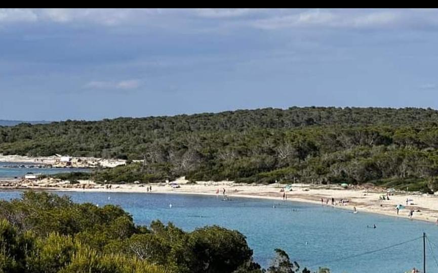 Bild 1 Lust auf Mallorca?