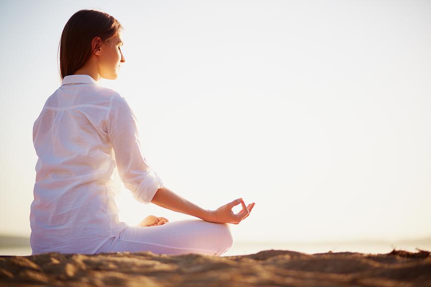 Bild 1 Vortrag mit Dr. Andrew Vidich: Die Kunst, durch Meditation nach innen zu gehen