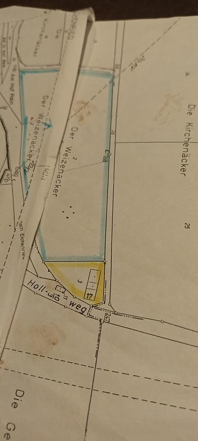 Bild 1 Wiesengrund 16000 m2 in Kalbach-Veitsteinbach zu verkaufen