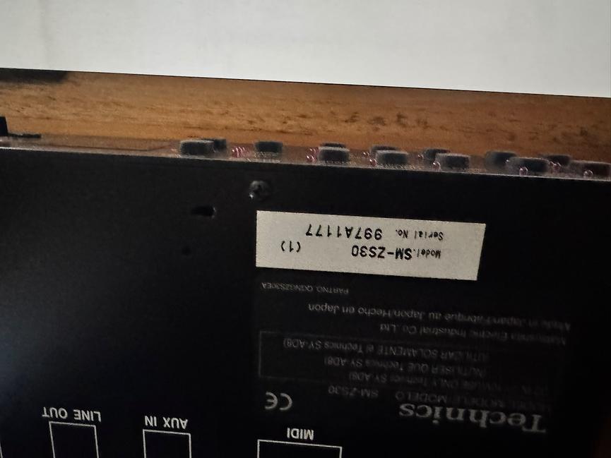 Bild 3 Klavier Stummschaltung Technics SMZS30