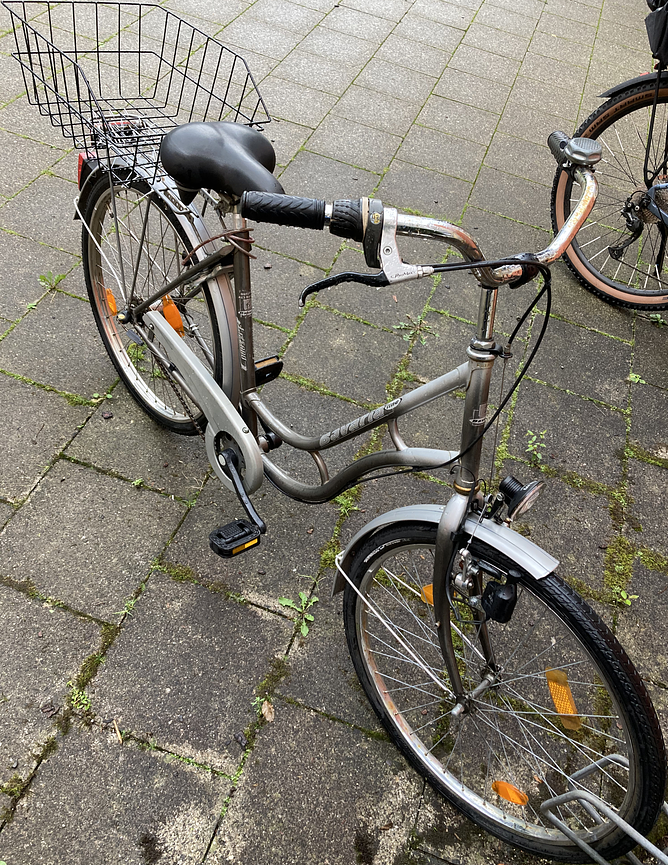 Bild 2 Stadtfahrrad Bavaria Line Lizzard für Damen, Nabenschaltung, Beleuchtung, Korb