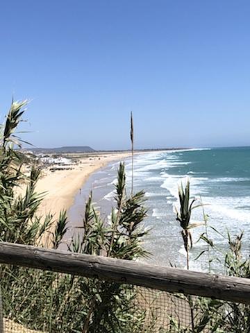 Bild 12 🪷 PARADIES-FARM SUCHT HELFER'INNEN IM GRÜNEN, WARMEN ANDALUSIEN 🪷