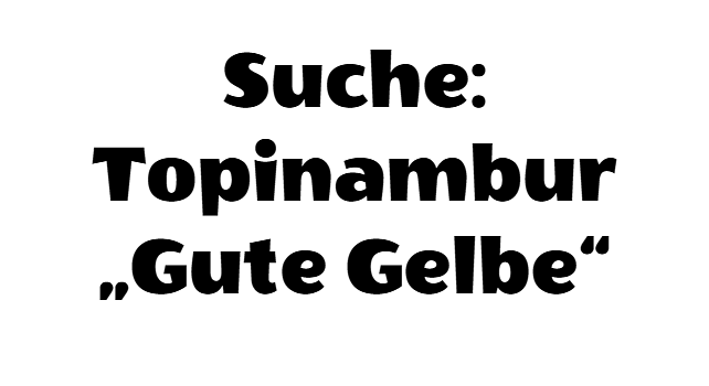 Bild 1 Suche: Topinambur "Gute Gelbe"
