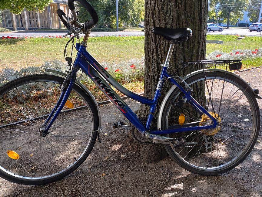 Bild 3 Ab 1.3.25*Dam.Sportrad Peugot 28"+3 weitere gute gebrauchte Fahrräder abzugeben.