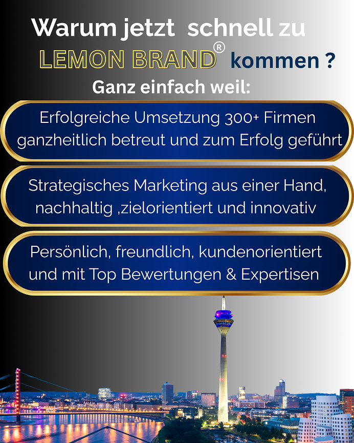 Bild 3 Marketingagentur Düsseldorf I Webdesign I Beratung I Lemon Brand Germany