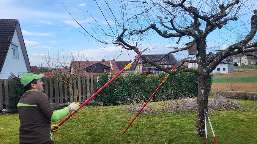 Bild 1 Hausmeister- & Gartenpflege & Reinigung / Zuverlässigkeit & professionell