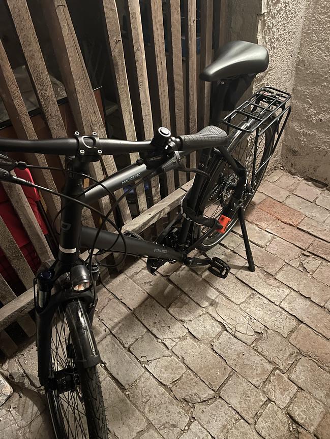 Bild 1 Fahrrad von Stadler (355€)