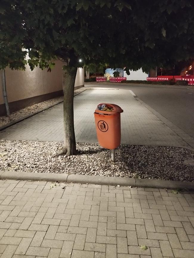 Bild 2 Reinigung, Hausmeisterservice & Sanierungen –alles aus einer Hand