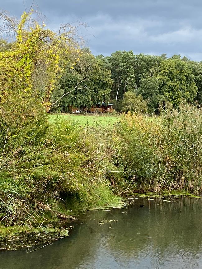 Bild 51 WER ERHOLUNG IN DER NATUR SUCHT, IST HIER GENAU RICHTIG