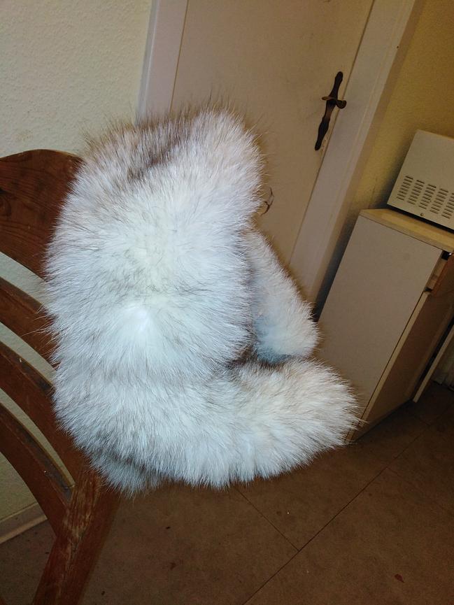 Bild 3 Verschiedene Pelzsachen warm