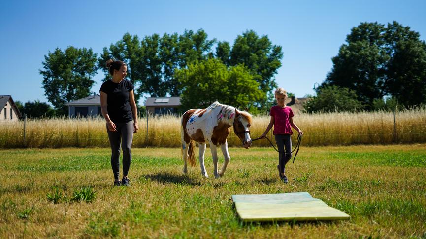 Bild 2 Rund ums Pony - Pferdezeit und reiten lernen für Kinder ab 4 Jahren