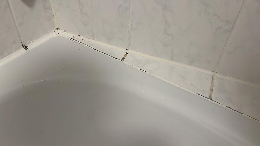 Bild 3 0,5 Stunden Arbeit in Lindenau / 50 € für Silikonverfugung Badewanne