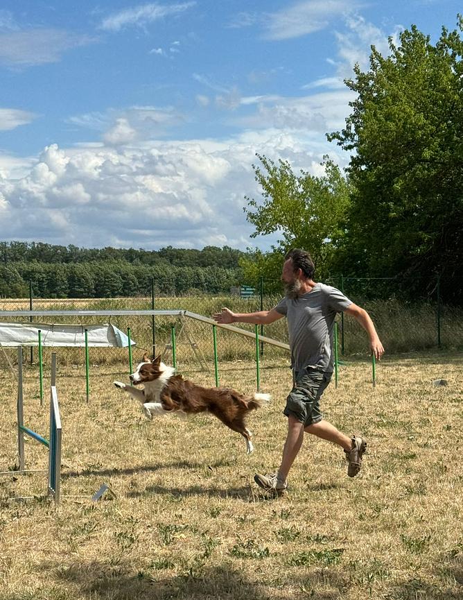 Bild 2 Hundeschule und Hundepension für Berlin und Brandenburg