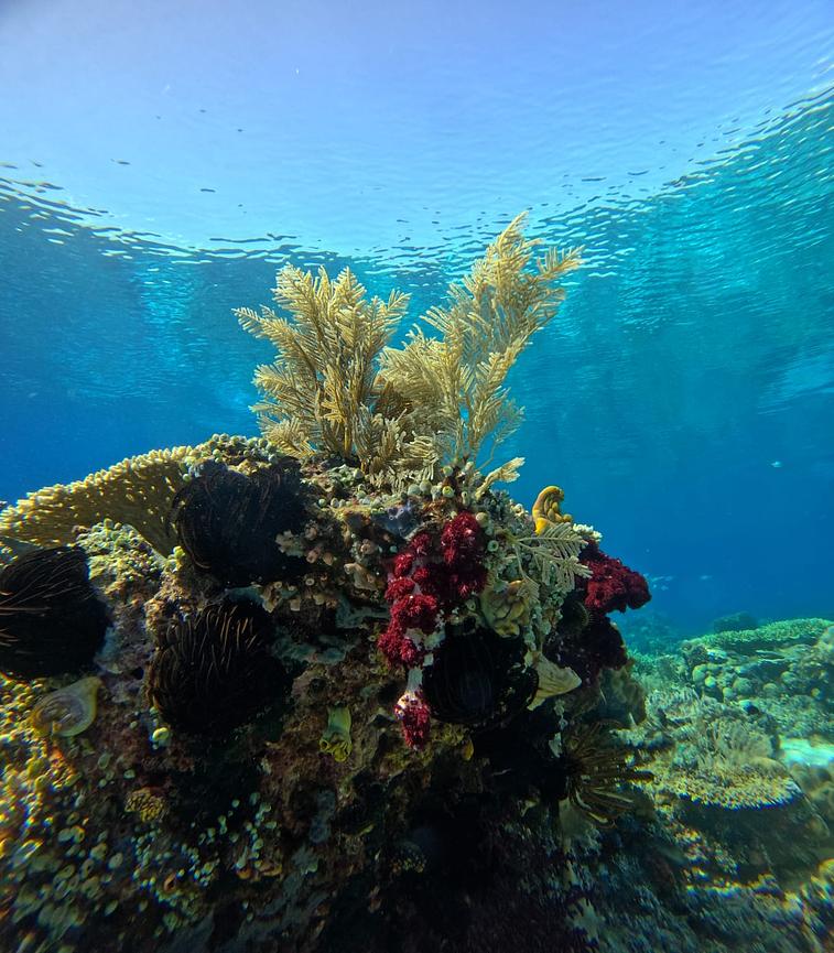 Bild 5 Abenteuerurlaub Singapur/ Indonesien