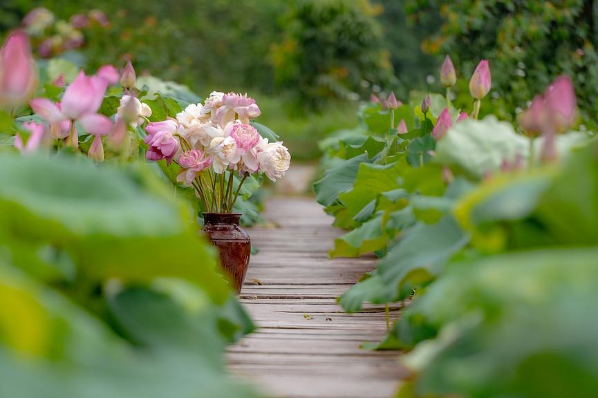 Bild 1 Unterstüzung im Garten und rund ums Haus