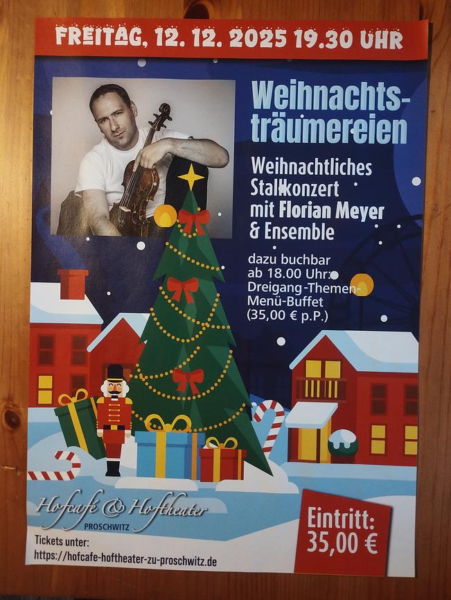 Bild 1 Weihnachtsträumerei - Geigenvirtuose der Extraklasse