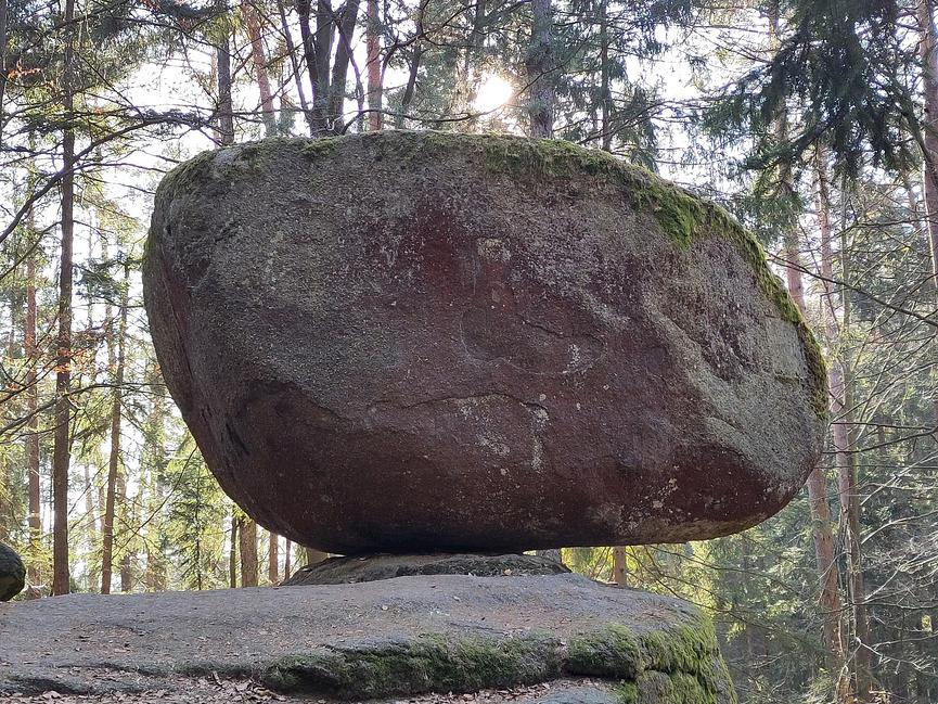 Bild 10 Mit Naturerlebniswanderungen neue Kräfte finden ...