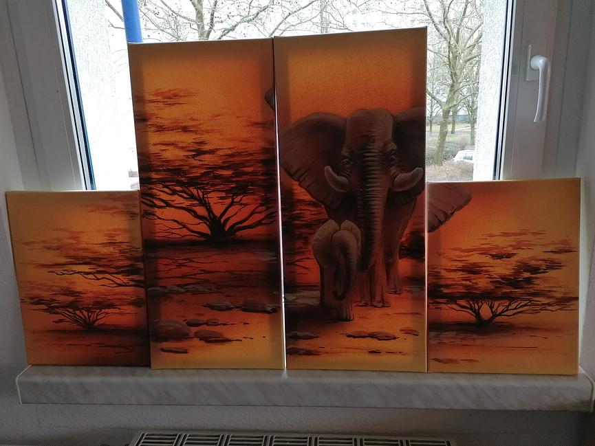 Bild 6 Alles muss raus!! Wohnungsauflösung