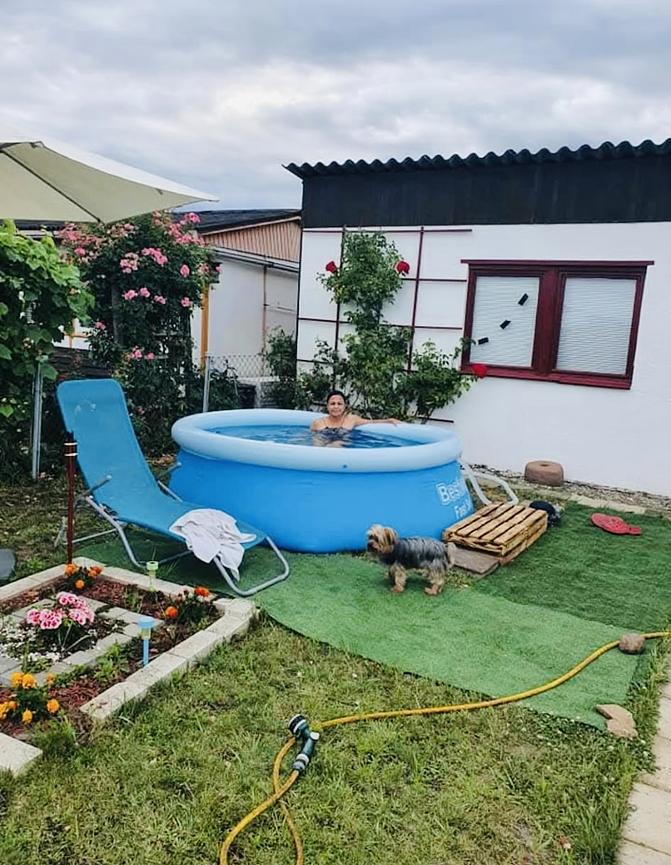 Bild 1 Kleingarten in Leipzig-Lindenau zu verkaufen