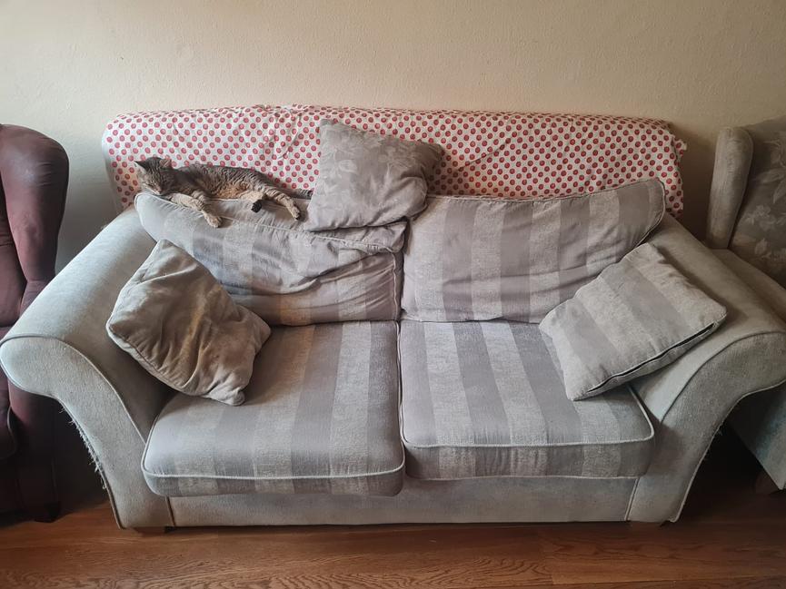 Bild 2 Couch/Zweisitzer von Segmüller abzugeben