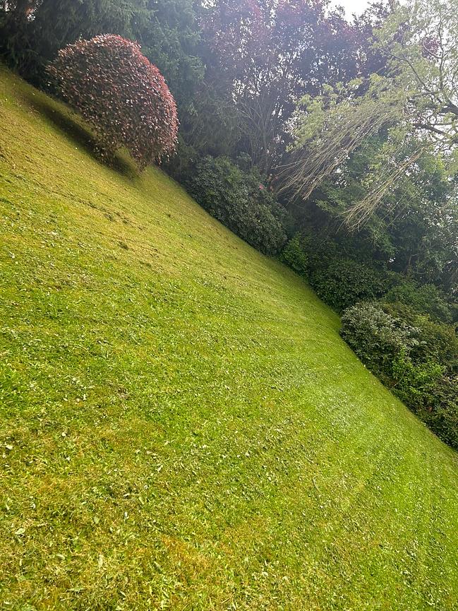 Bild 2 Baugrundstück Voll erschlossen in Montabaur