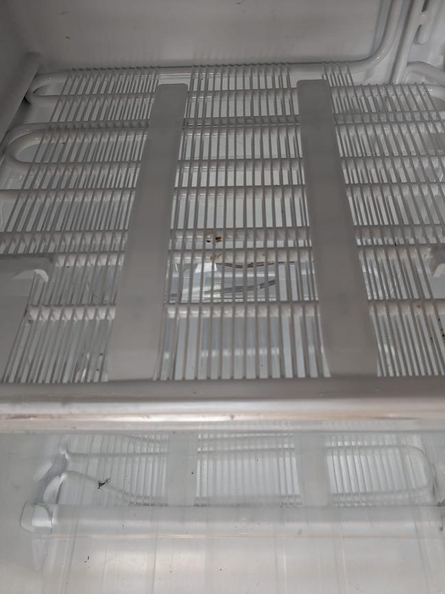 Bild 5 Tiefkühlschrank 50 x 50 x 85