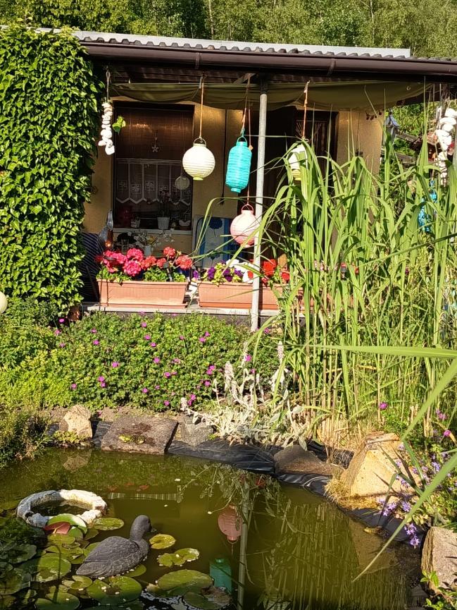 Bild 2 Selbstversorger, Kleingarten Neukieritzsch, kostenlos, gut erreichbar, Laube