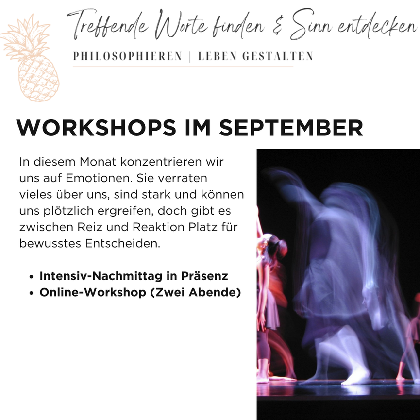 Bild 3 Emotionen verstehen und regulieren - ONLINE-Workshop oder Präsenz-Nachmittag